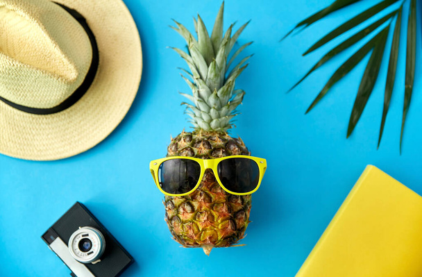 pineapple in sunglasses, hat, camera and palm leaf - Foto, Bild