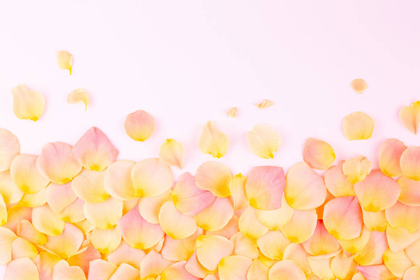 Лепестки роз на светлом фоне
 - Фото, изображение