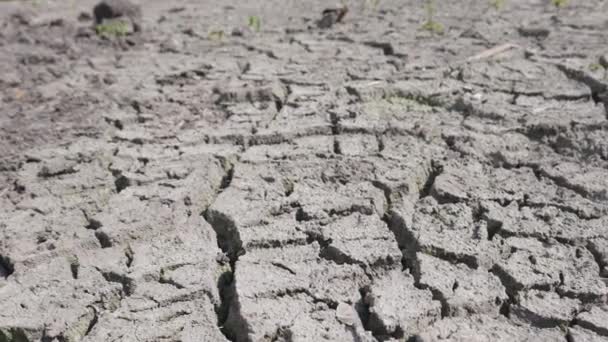 Środowisko suszy i kryzysu - Materiał filmowy, wideo