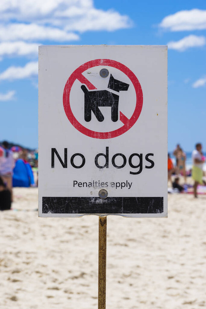 No dogs sign on a beach against blue sky - Foto, afbeelding