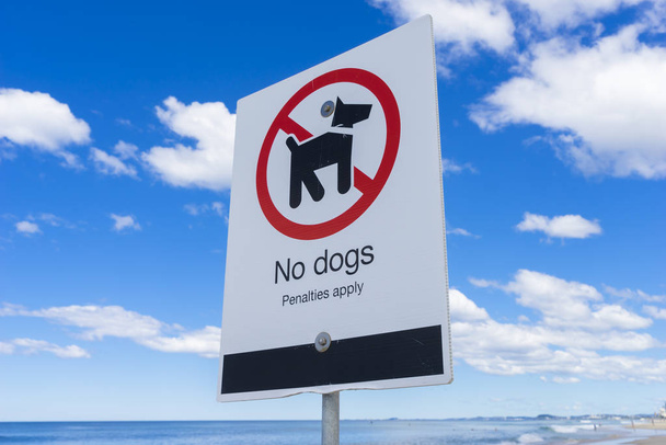No dogs sign on a beach against blue sky - Foto, Imagen