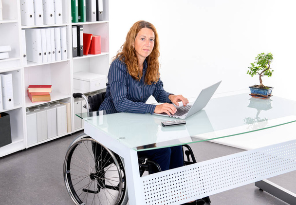 disabled businesswoman in wheelchair working  in the office - Φωτογραφία, εικόνα