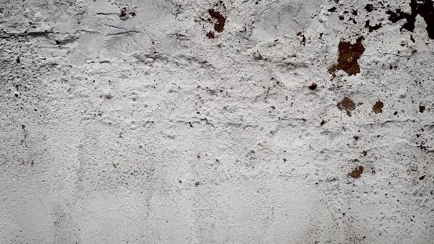 Su un muro di cemento bianco martoriato appare l'iscrizione: "epidemia", il calcestruzzo si sbriciola in pezzi, frammenti volanti
. - Filmati, video