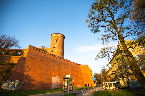 Palacio Real de Wawel en Cracovia
 - Foto, imagen