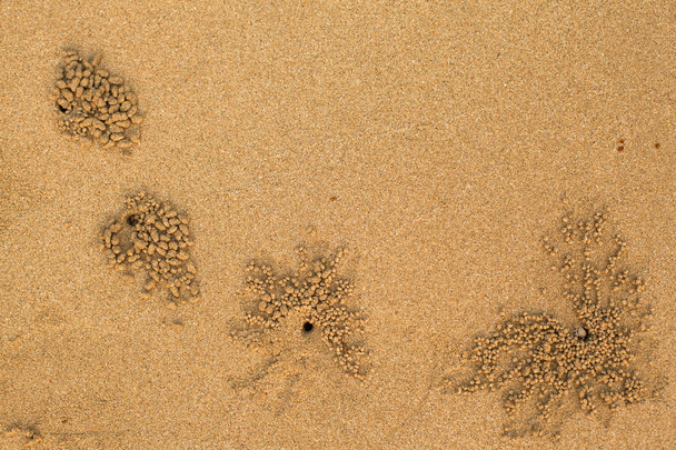 Areia do mar com movimentos de caranguejo
. - Foto, Imagem