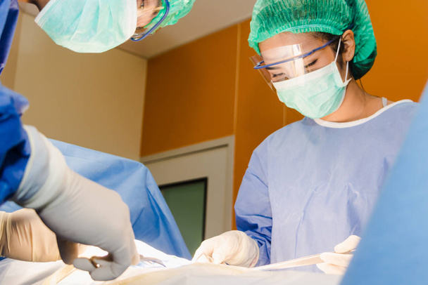 A equipe cirúrgica está realizando cirurgia para os pacientes no
  - Foto, Imagem