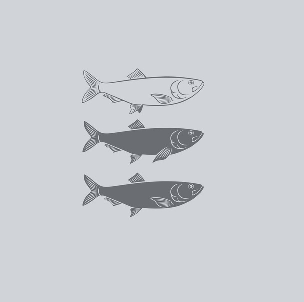 fish herring - Vector, Image