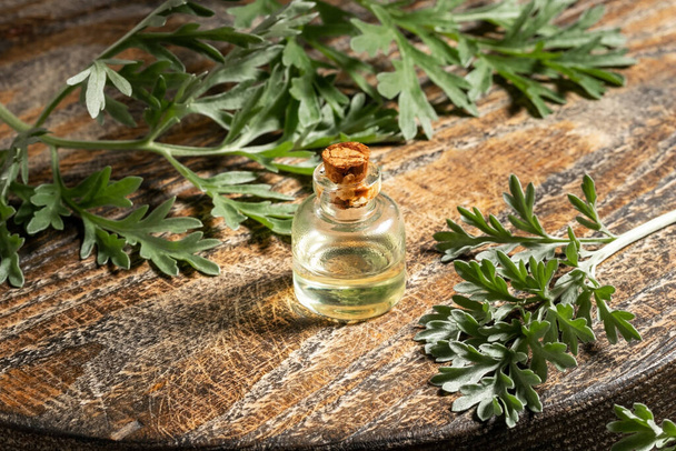 A bottle of wormwood essential oil with fresh Artemisia Absinthi - Fotó, kép