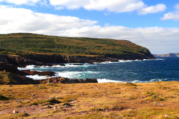 podzim na řádku nákladů Newfoundland, Kanada. - Fotografie, Obrázek
