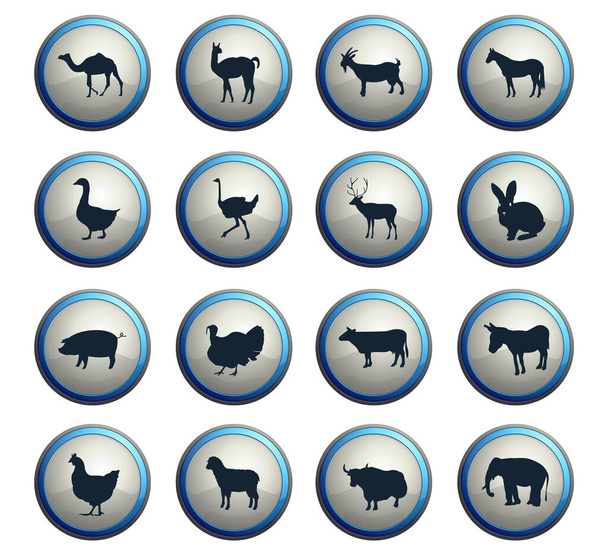 farm animals web icons for user interface design - Fotoğraf, Görsel