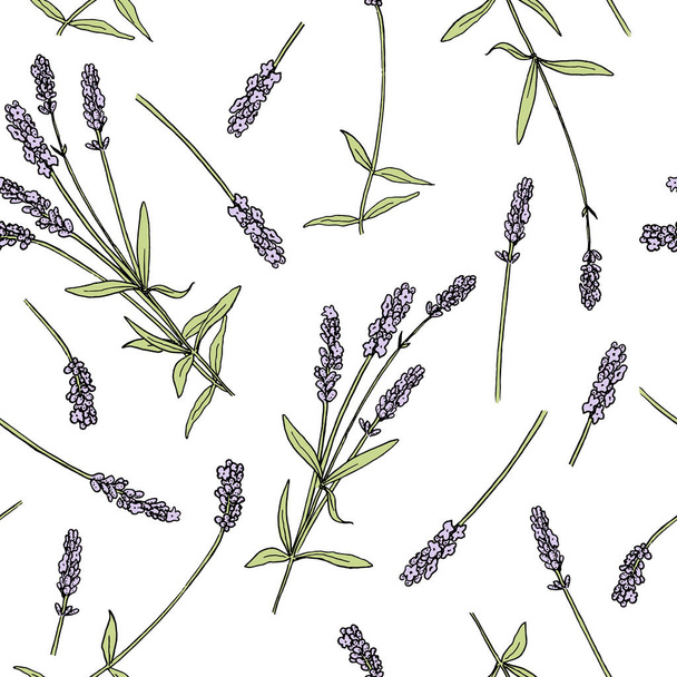 Lavender flowers colored seamless vector pattern sketch style. Bunch of purple Lavandula flowers in bloom - Vektor, kép