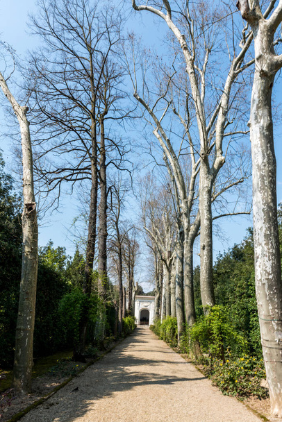 Вертикальная фотография красивого узкого пути внутри садов Боболи во Флоренции, Италия
 - Фото, изображение