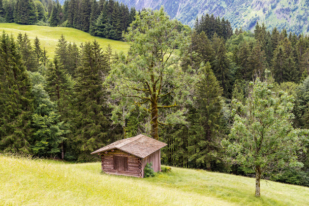 Small woodshed on a meadow in the forest. - Foto, immagini