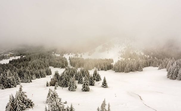 Φοβερό χειμερινό τοπίο με γούνες καλυμμένες με χιόνι. Παγωμένη μέρα στο βουνό, εξωτική χειμωνιάτικη σκηνή. - Φωτογραφία, εικόνα