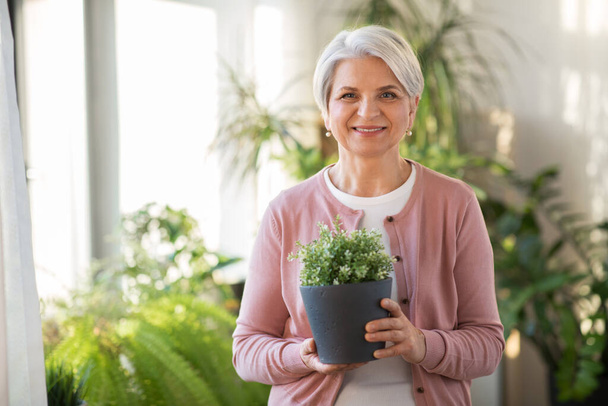 happy senior woman with flower in pot at home - Foto, Bild