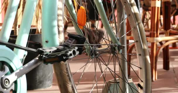 Przednie koło turkusowego roweru zaparkowanego z przodu kawiarni w Nicei Na Riwierze Francuskiej, Francja, Europa. Widok z bliska - DCi 4K Video - Materiał filmowy, wideo