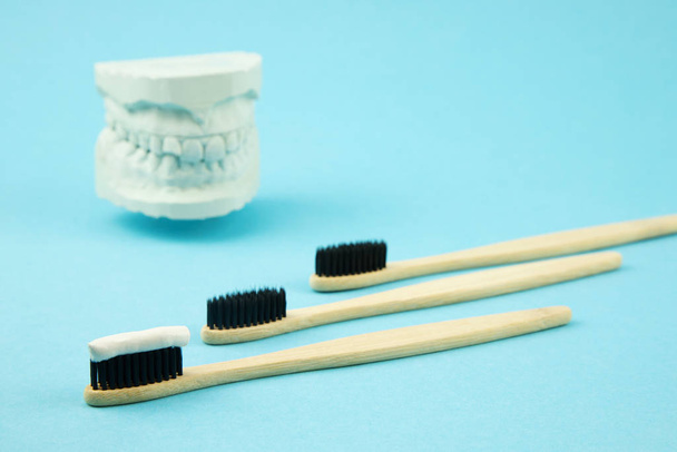 Bambusové zubní kartáčky s přírodní zubní pastou leží na modrém pozadí a vedle omítky modelu čelisti. Perorální péče Ortodontist. - Fotografie, Obrázek