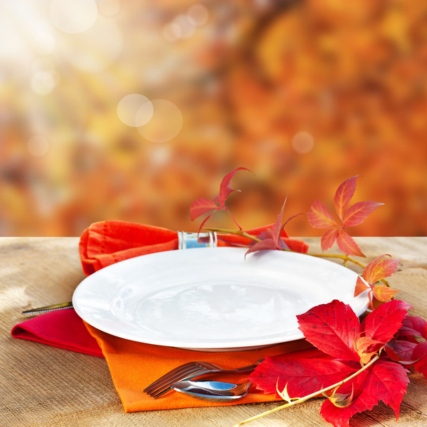 Empty Plate with Fall Background - 写真・画像