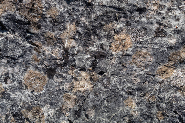 Grayish Old Weathered Cracked Natural Stone Texture - Zdjęcie, obraz