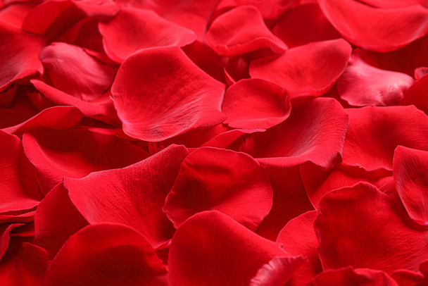 Fresh red rose petals as background, closeup - Zdjęcie, obraz