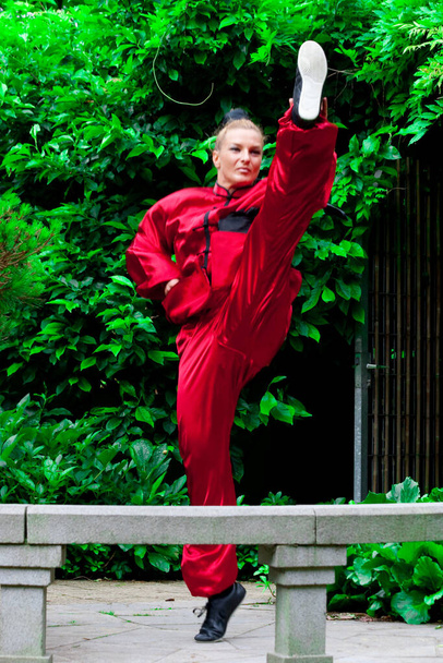 beautiful Girl practicing Kung Fu  - Фото, изображение