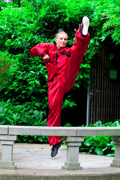 beautiful Girl practicing Kung Fu  - Photo, Image