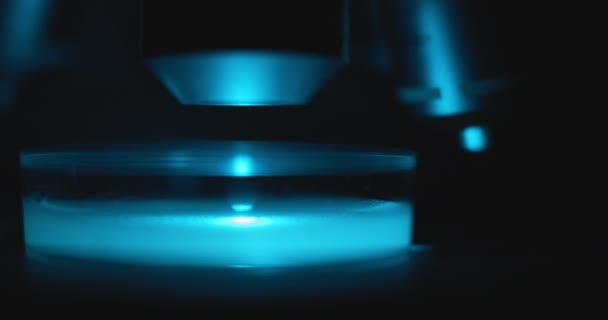 Primer plano de la placa de Petri iluminada bajo un microscopio, durante un trabajo de laboratorio. Luz azul en una habitación oscura. Cámara lenta, de mano, disparada con BMPCC 4K.Bioquímica, medicina farmacéutica, ciencia
  - Metraje, vídeo