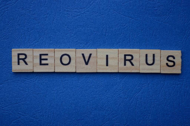 palavra reovirus de pequenas cartas de madeira em uma mesa azul
 - Foto, Imagem