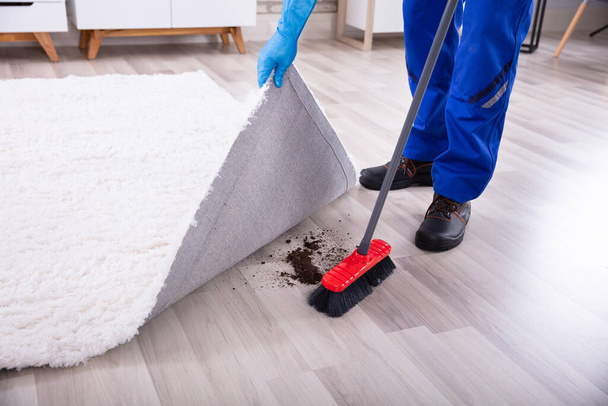 Lowsection View Of A Janitor Cleaning Dirt Under The Carpet With Mop - Fotoğraf, Görsel