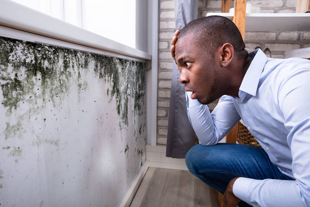 Side View Of A Shocked Young African Man Looking At Mold On Wall - 写真・画像