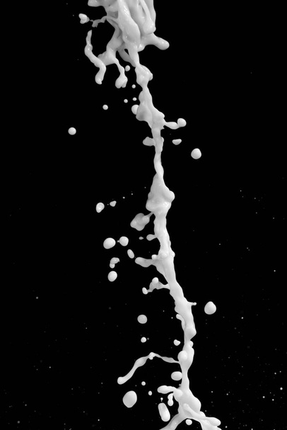 splash of milk on a black background - 写真・画像