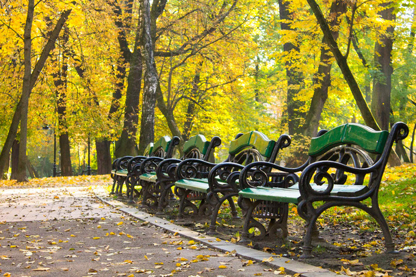 őszi park padok - Fotó, kép