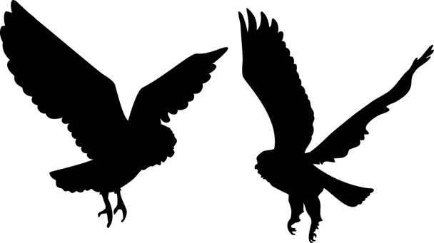 Две совы любят силуэты
 - Вектор,изображение