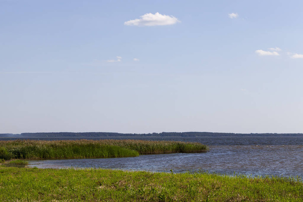deep lake with grass and reeds growing along the shore, summer season - Fotografie, Obrázek