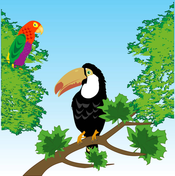 Vector illustration of the tropical birds toucan and parrot in wood - Foto, immagini
