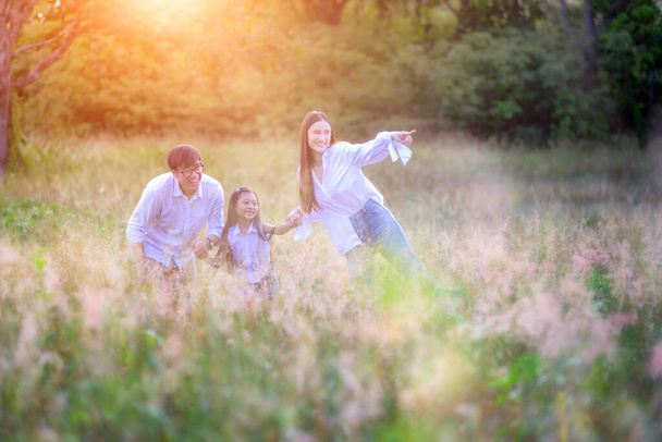 grupa ciepłej rodziny bawić się razem w polnej łące dzikich kwiatów w świetle porannego wschodu słońca  - Zdjęcie, obraz
