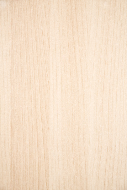Texture of wood background - Photo, Image
