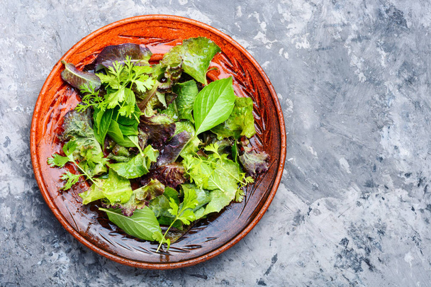 Fresh salad plate with mixed greens.Healthy food - Fotó, kép