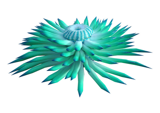 3D rendering of a green sea anemone isolated on white background - Foto, Bild