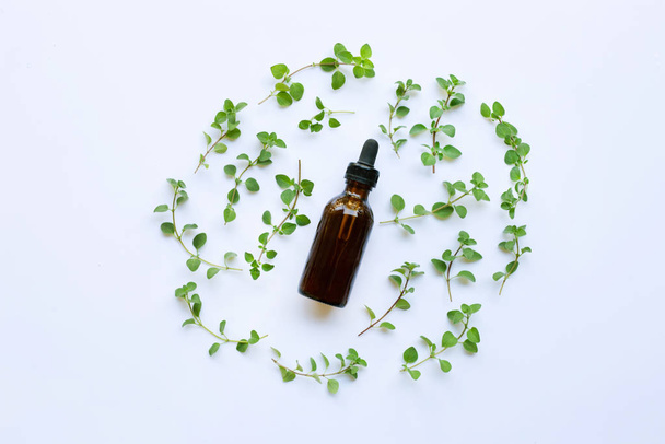 A bottle of oregano essential oil with fresh oregano leaves on white background. - Fotó, kép