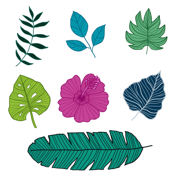 Ensemble d'illustrations vectorielles botaniques, Illustration vectorielle
 - Vecteur, image