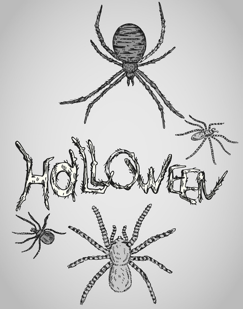 Happy Halloween vector card with spiders - Vector, Image