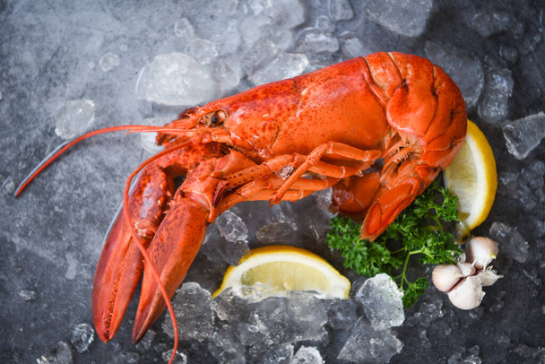 Fresh lobster food on a black plate background - red lobster din - Fotó, kép
