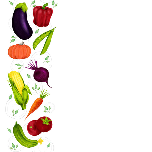 Ręcznie rysowane warzywa. Kolekcja designerska do menu, ekologicznych i naturalnych sklepów spożywczych, opakowań i reklamy. Plakat z ramą i dekoracją granic. Eko sklep produkt rolny. Zdrowa żywność. - Zdjęcie, obraz