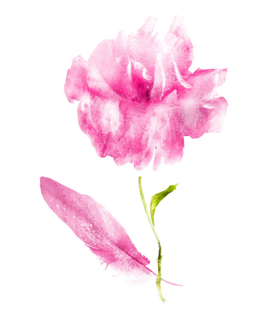 Akvarell virág és toll, elszigetelt fehér - Fotó, kép