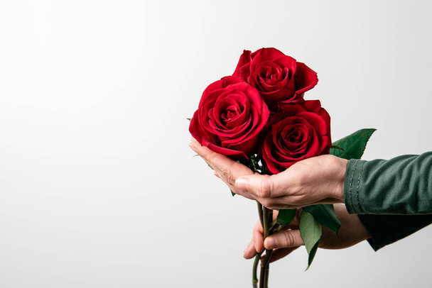 Red rose in hand on white background with copy space - Foto, imagen