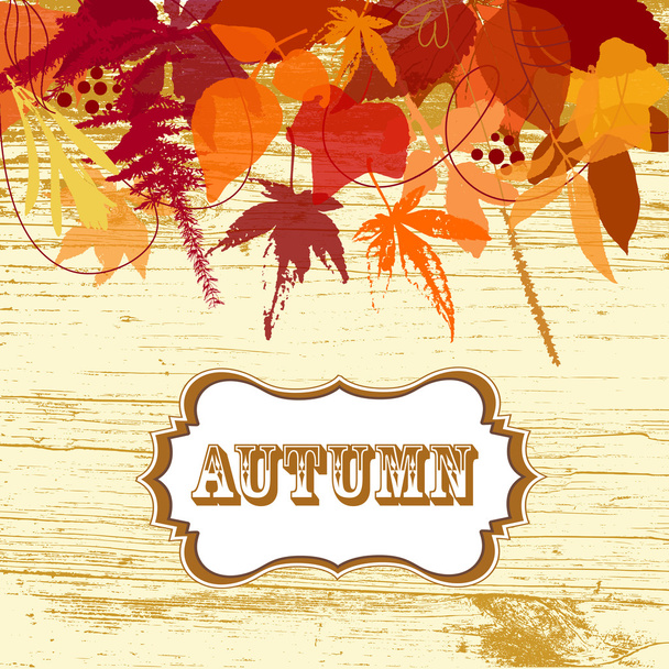 Autumn leaves background - Vector, afbeelding
