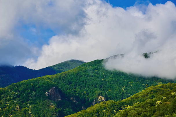 Carpathian Mountains in Romania - Φωτογραφία, εικόνα
