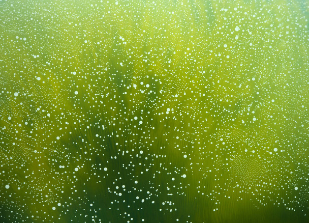 abstract organic background with translucent colors and light bubble pattern - Foto, Imagem