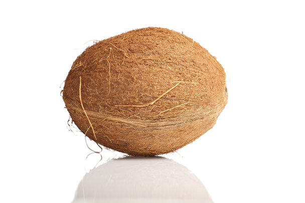 Isolated coconut - Фото, изображение